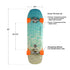 Top view of a skateboard showing dimensions, truck set, and wheel details.